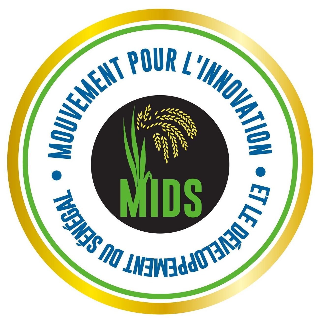 MIDS